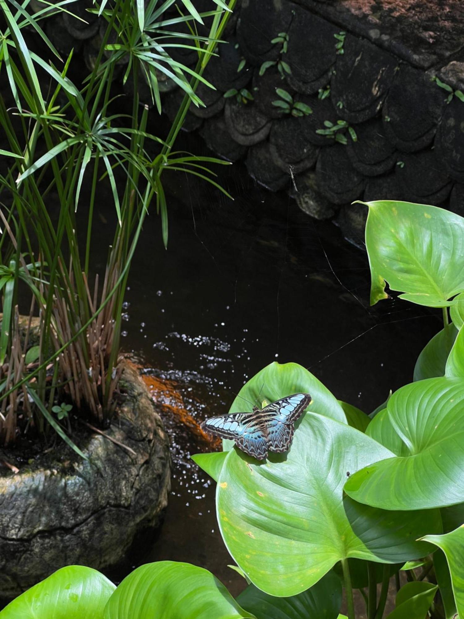 Baan Ton Rak Boutique Resort Koh Chang Buitenkant foto